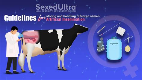 porn industry, semen, and how it all works .
